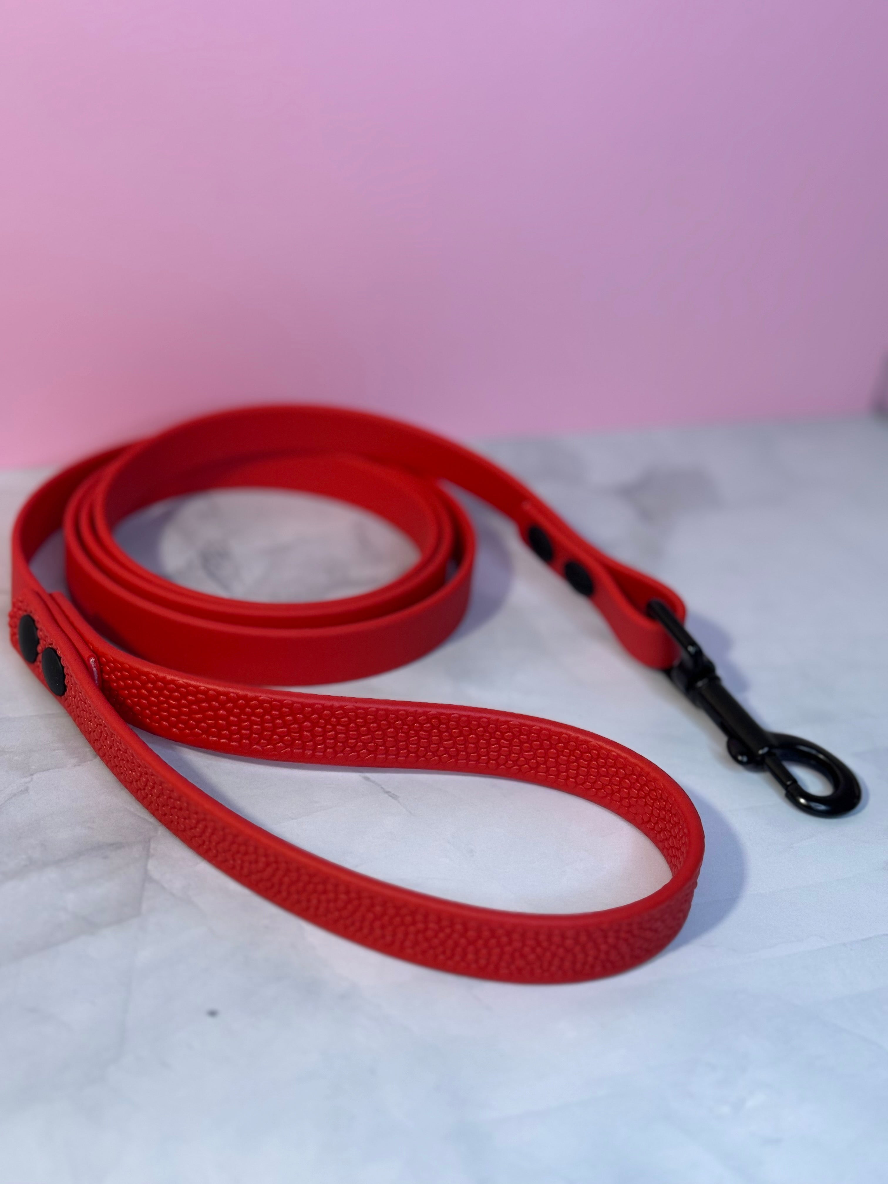 Custom Leashes