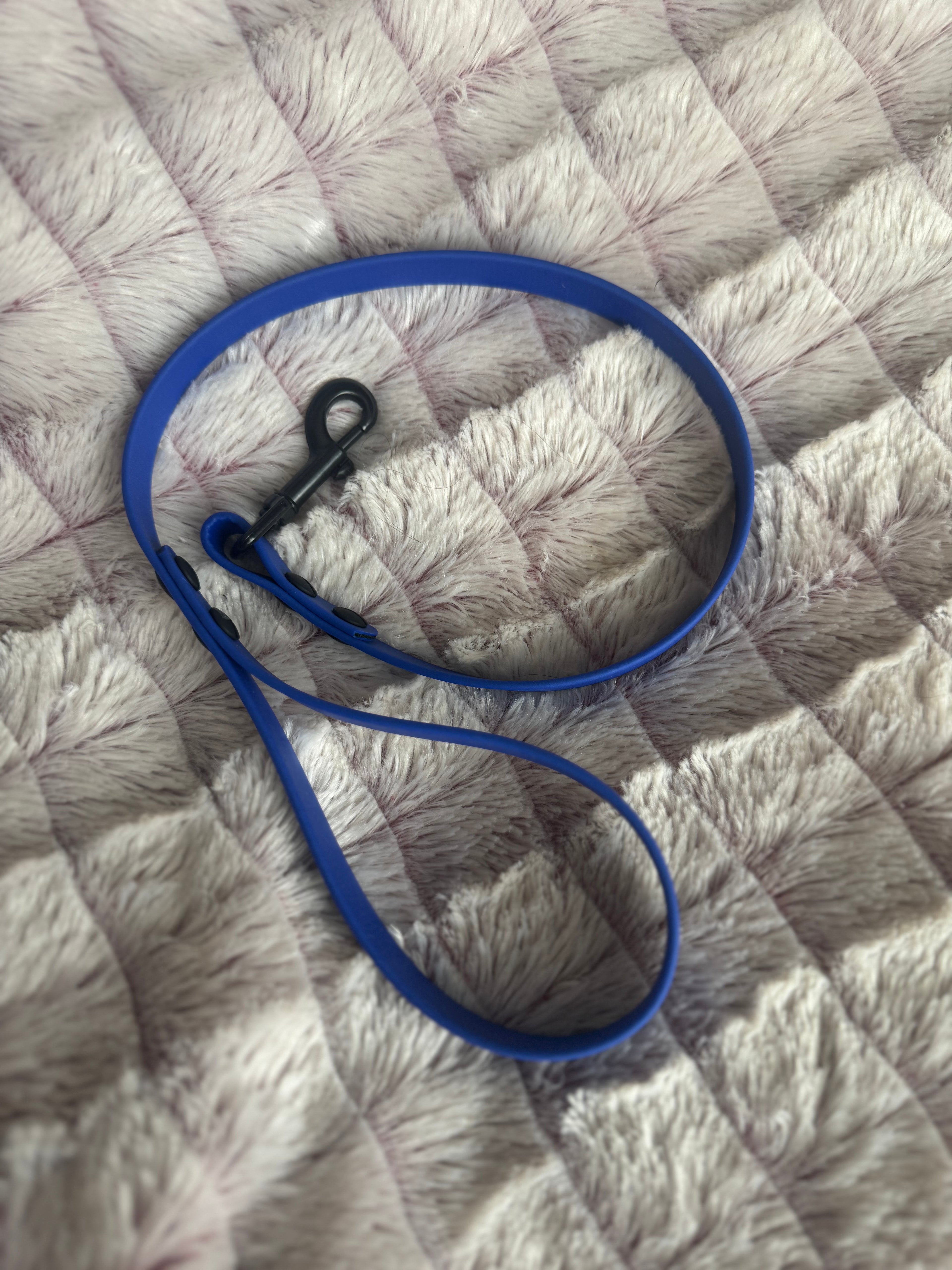 Custom Leashes