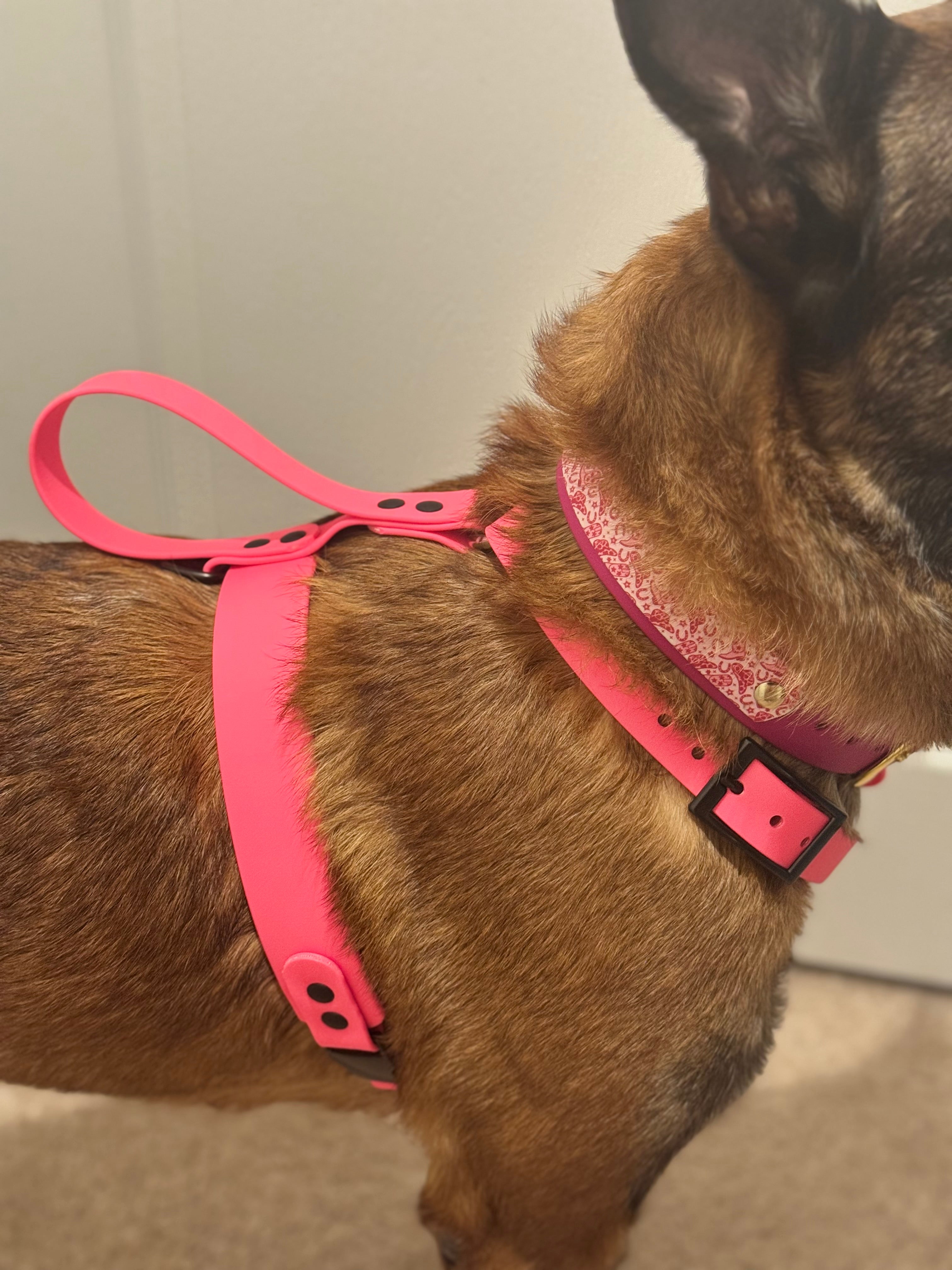 CUSTOM Agitation Harness