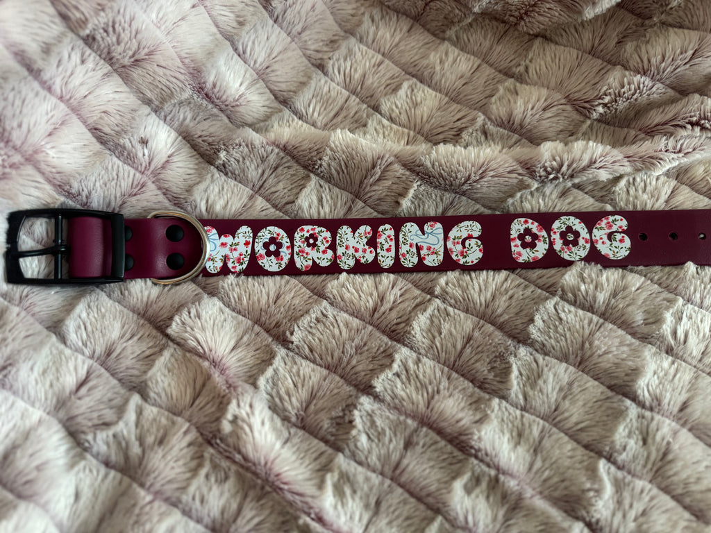 PREMADE 1.5” Wide Single Layer Collar