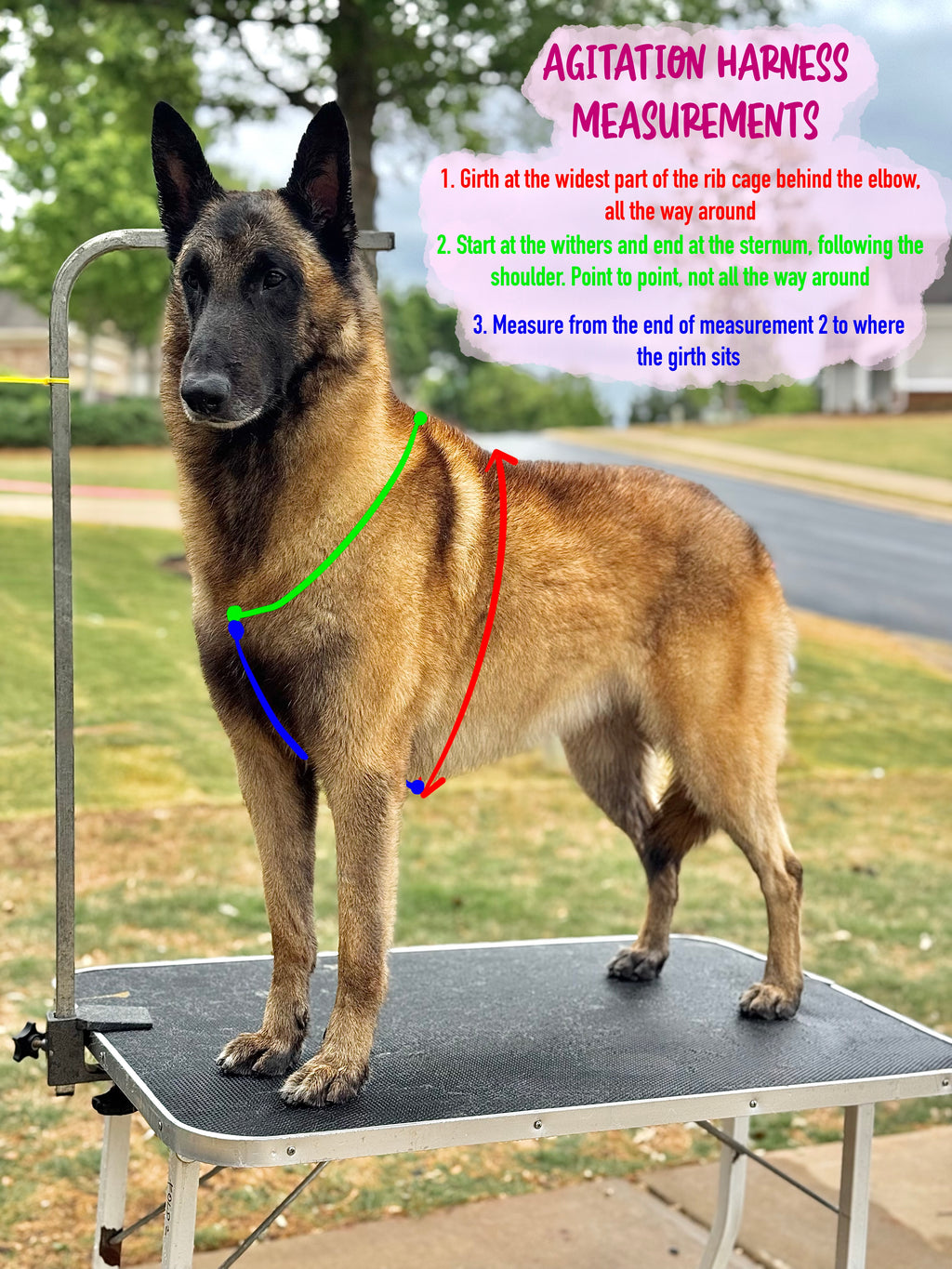 CUSTOM Agitation Harness