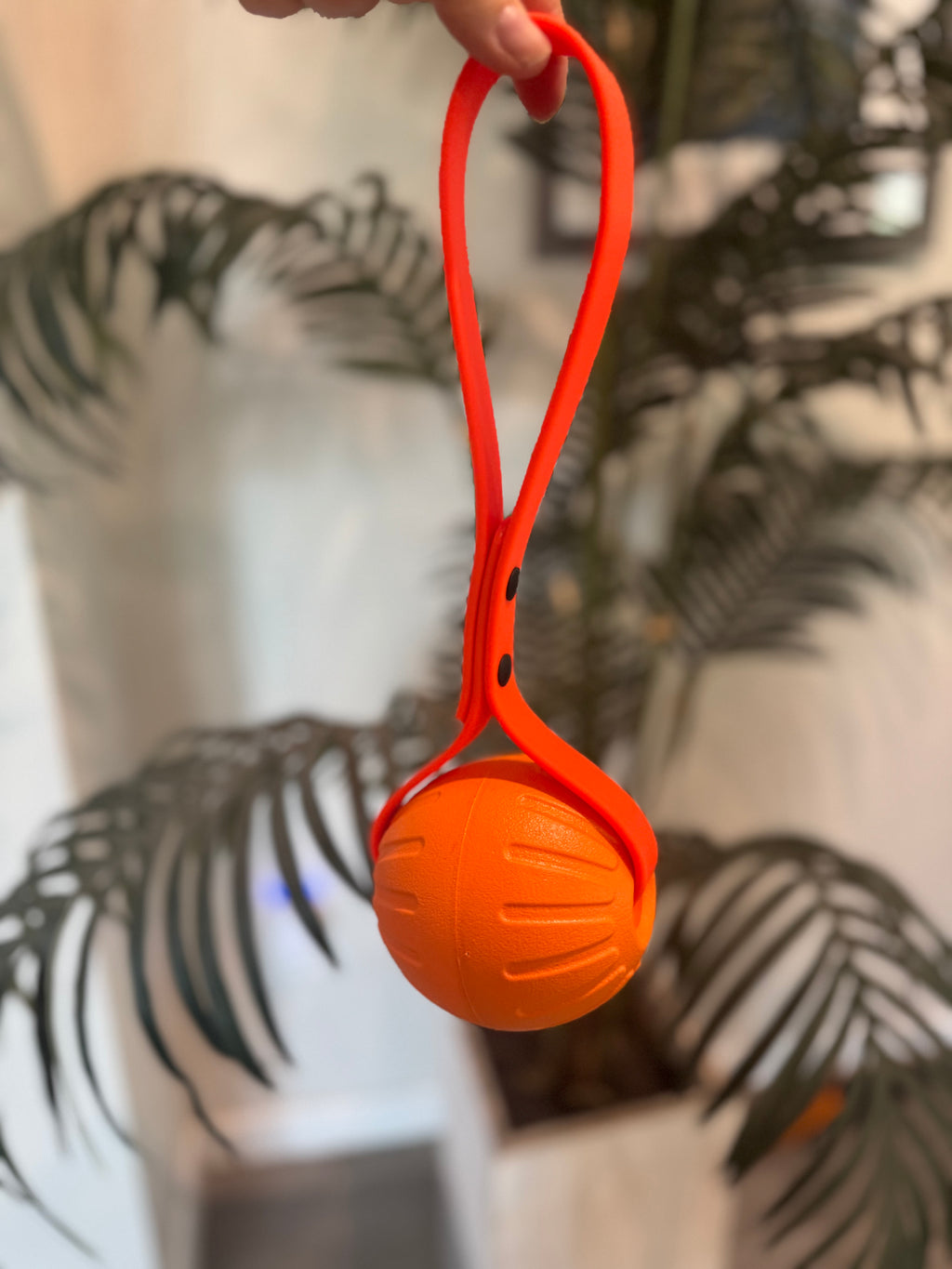 PREMADE Ball on a Rope