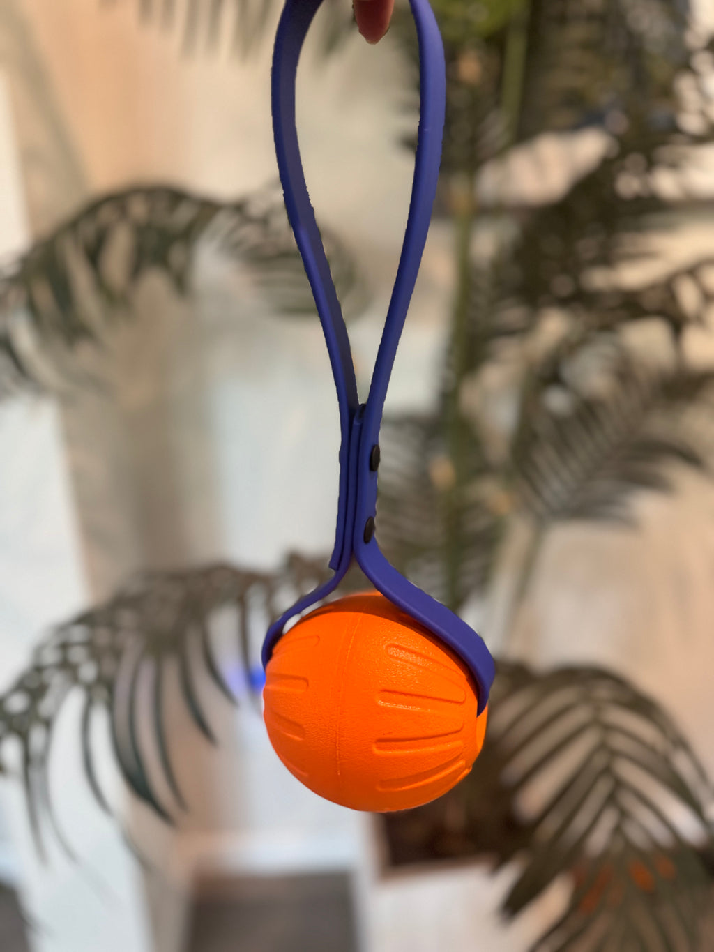 PREMADE Ball on a Rope