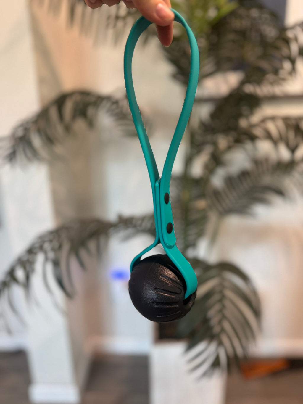 PREMADE Ball on a Rope