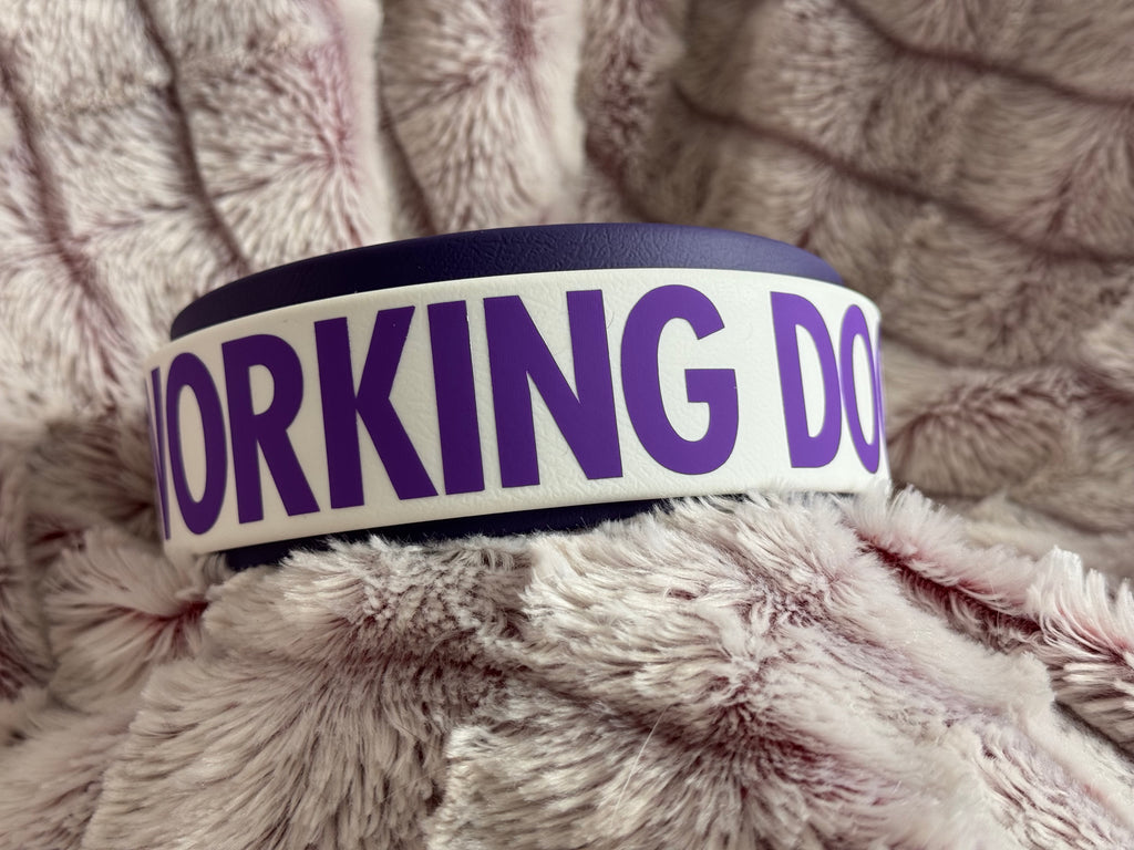 CUSTOM 2" Double Layer Collar