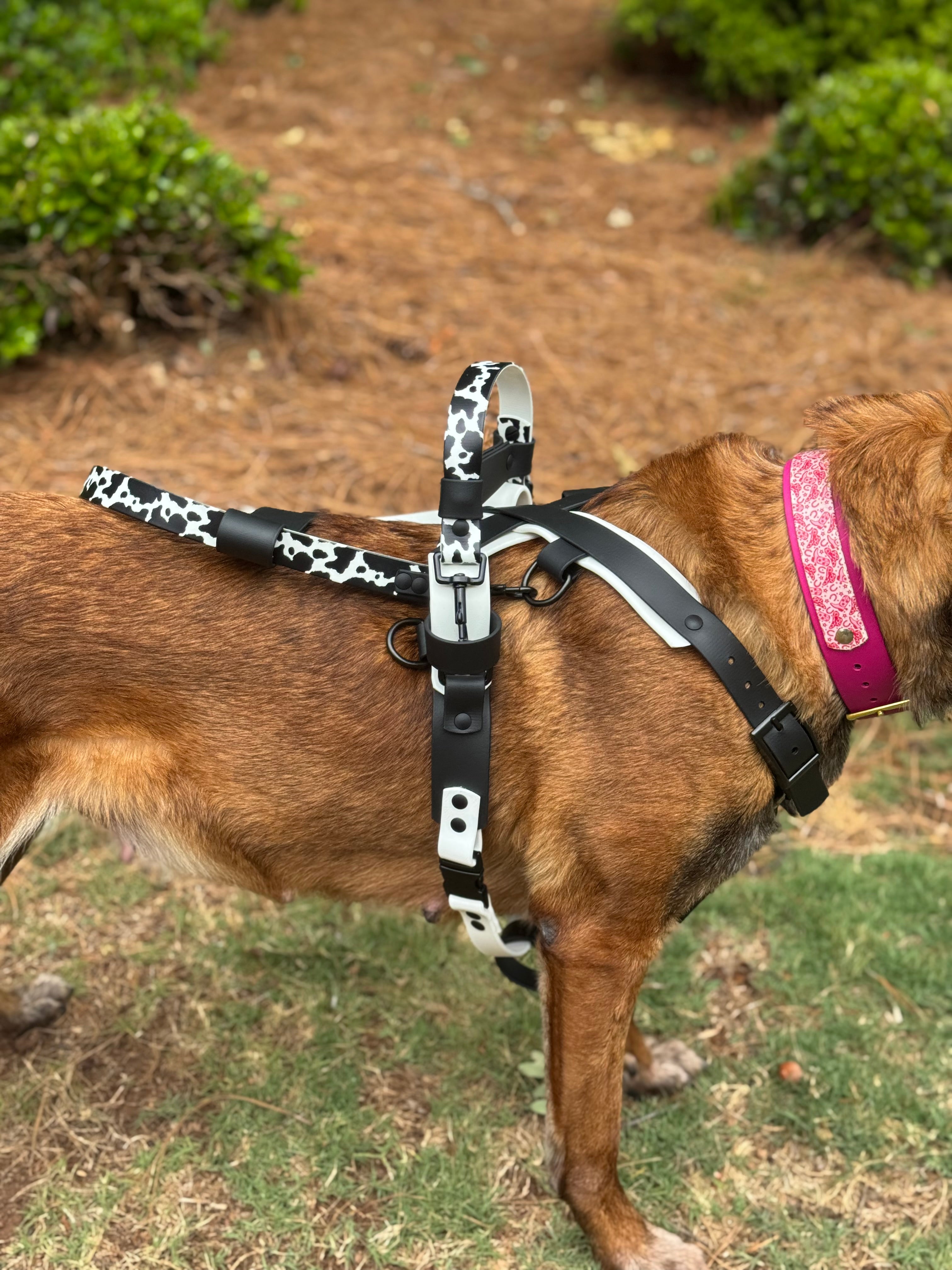 Custom Service Dog Harness